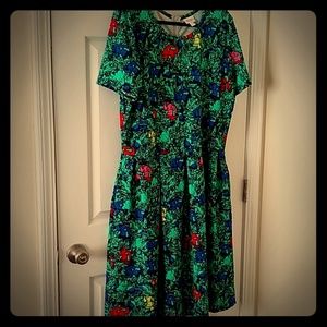 LLR 3XL Amelia